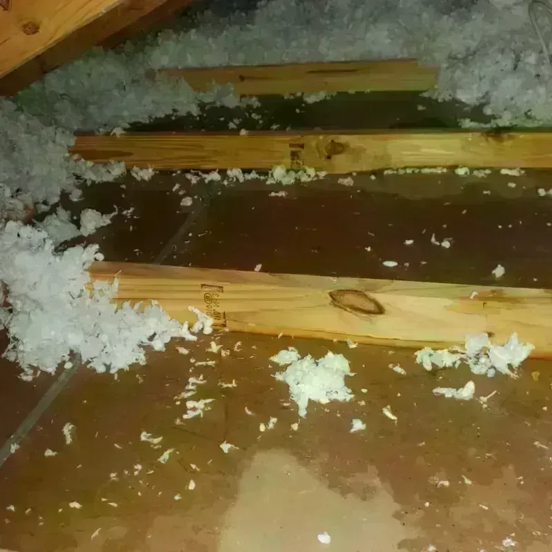 Attic Water Damage in Frenchburg, KY